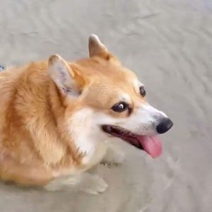 Meet your Posher, Regina